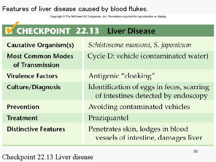 Features of liver disease caused by blood flukes. Checkpoint 22. 13 Liver disease 86