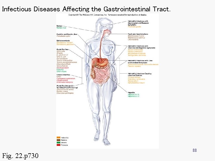 Infectious Diseases Affecting the Gastrointestinal Tract. Fig. 22. p 730 88 