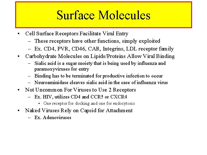 Surface Molecules • Cell Surface Receptors Facilitate Viral Entry – These receptors have other Surface Molecules • Cell Surface Receptors Facilitate Viral Entry – These receptors have other
