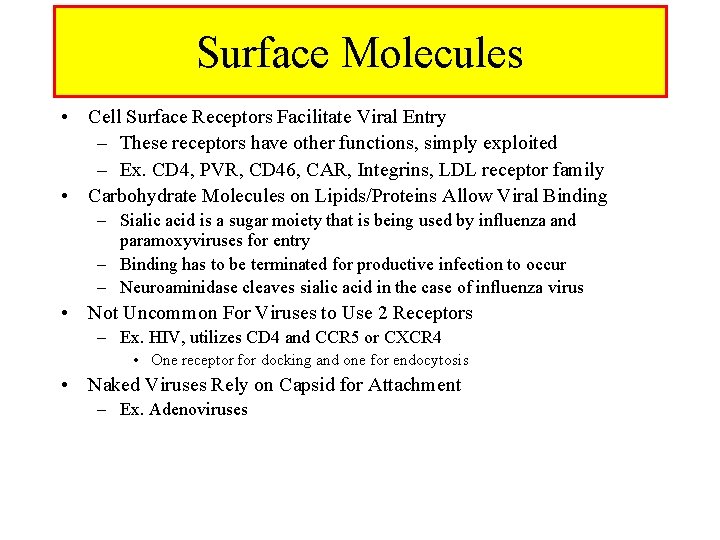 Surface Molecules • Cell Surface Receptors Facilitate Viral Entry – These receptors have other