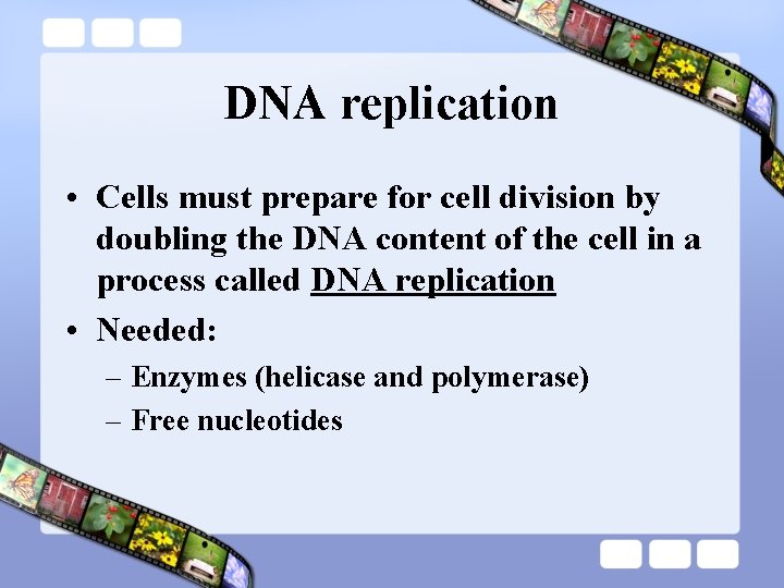 DNA replication • Cells must prepare for cell division by doubling the DNA content