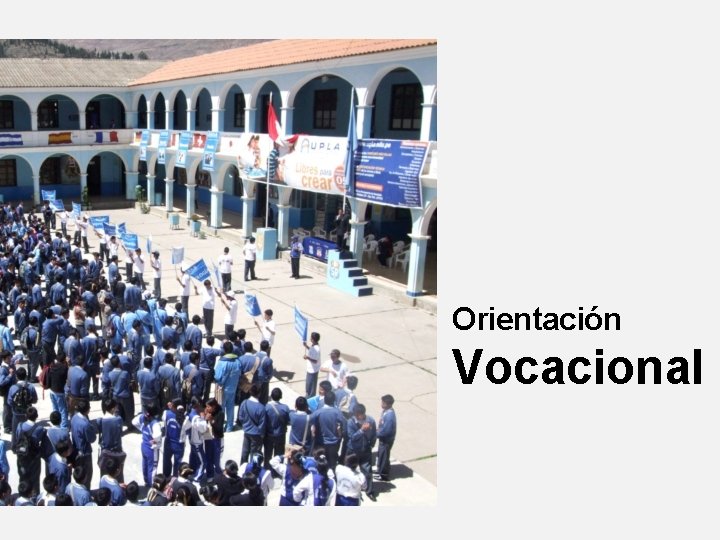 Orientación Vocacional 