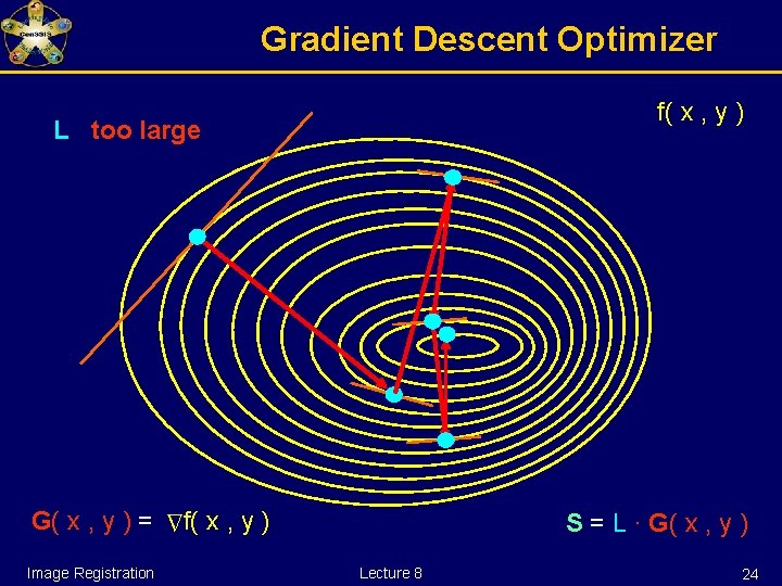 Gradient Descent Optimizer f( x , y ) L too large Image Registration ∆