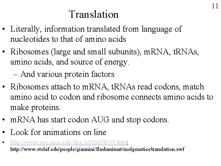 Translation 11 • Literally, information translated from language of nucleotides to that of amino