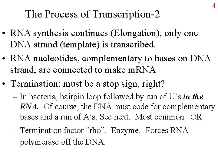 The Process of Transcription-2 4 • RNA synthesis continues (Elongation), only one DNA strand