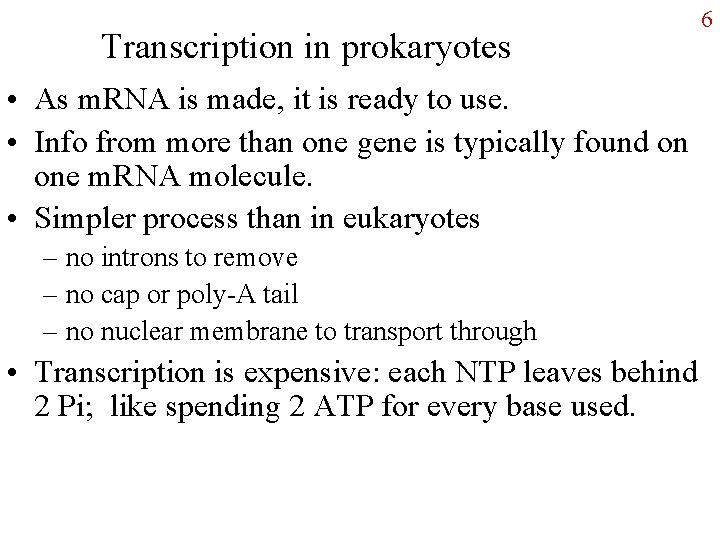Transcription in prokaryotes • As m. RNA is made, it is ready to use.
