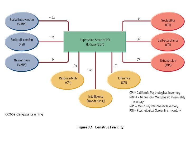Chapter 9 Intelligence and Psychological Testing Principle Types