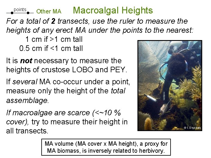 Transect Ruler AGRRA Introduction to Benthos Transects K Marks Revision