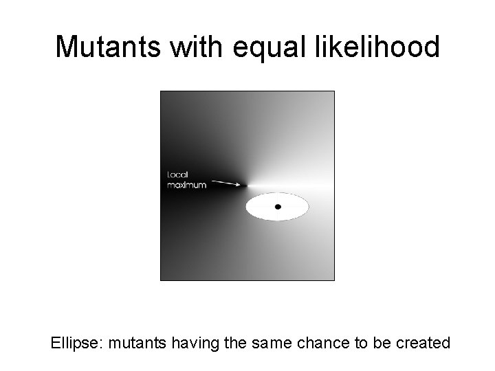 Mutants with equal likelihood Ellipse: mutants having the same chance to be created Mutants with equal likelihood Ellipse: mutants having the same chance to be created