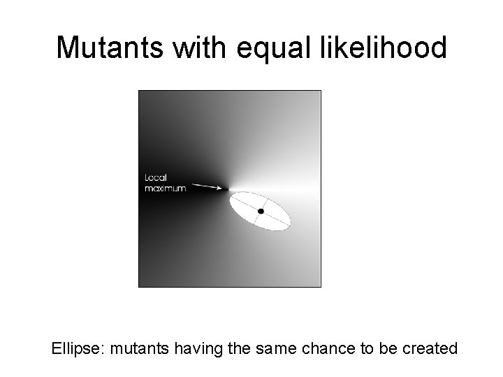 Mutants with equal likelihood Ellipse: mutants having the same chance to be created Mutants with equal likelihood Ellipse: mutants having the same chance to be created