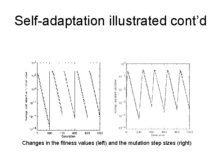 Self-adaptation illustrated cont’d Changes in the fitness values (left) and the mutation step sizes Self-adaptation illustrated cont’d Changes in the fitness values (left) and the mutation step sizes