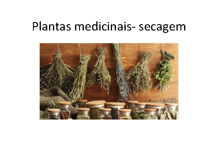 Plantas medicinais- secagem 