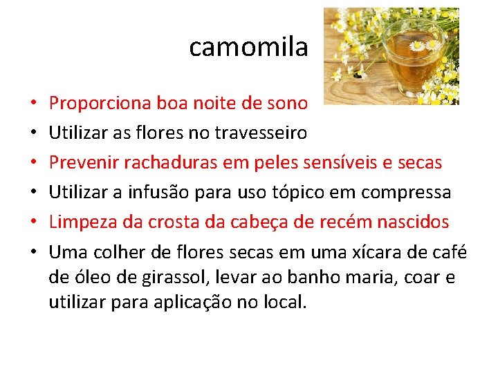 camomila • • • Proporciona boa noite de sono Utilizar as flores no travesseiro