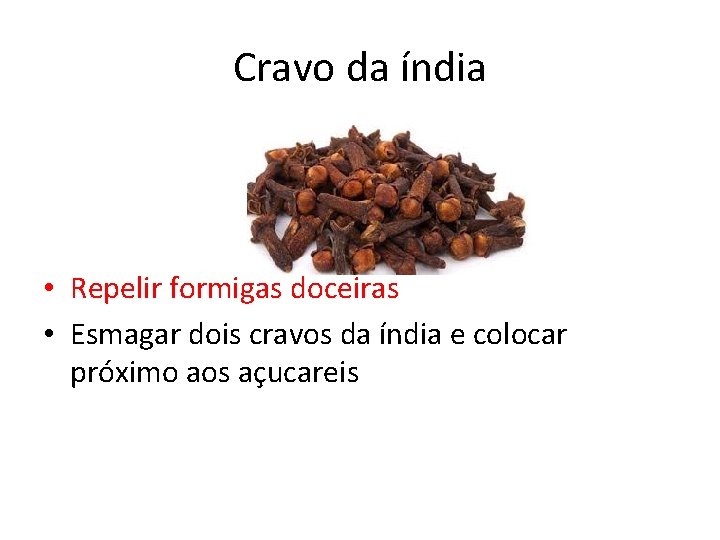 Cravo da índia • Repelir formigas doceiras • Esmagar dois cravos da índia e