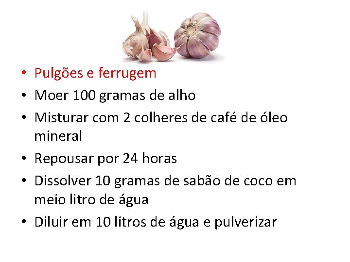  • Pulgões e ferrugem • Moer 100 gramas de alho • Misturar com