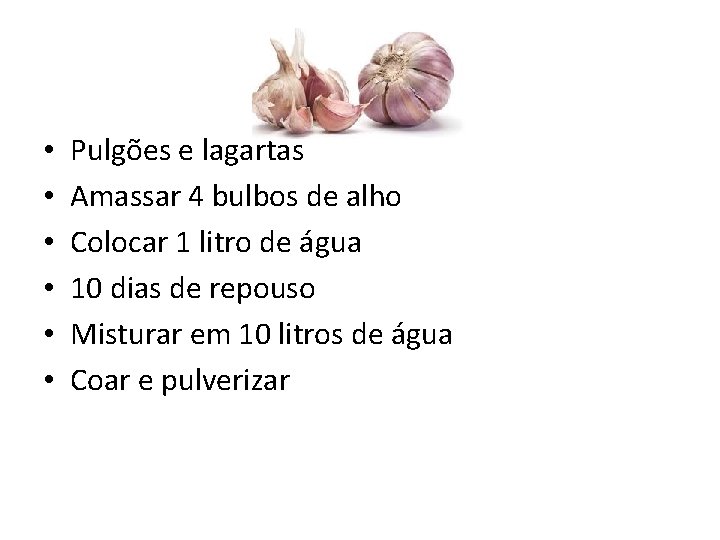  • • • Pulgões e lagartas Amassar 4 bulbos de alho Colocar 1