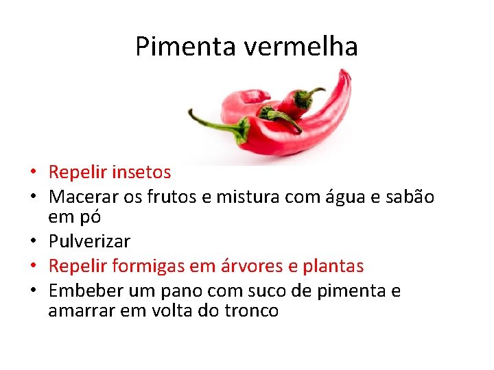 Pimenta vermelha • Repelir insetos • Macerar os frutos e mistura com água e