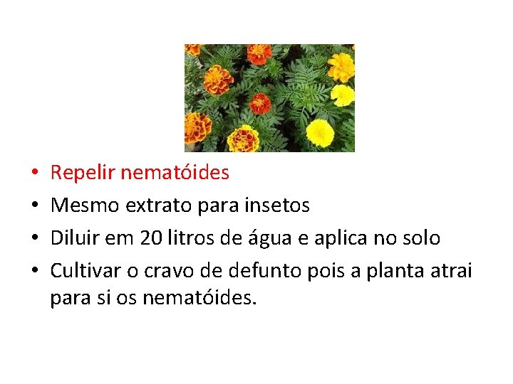  • • Repelir nematóides Mesmo extrato para insetos Diluir em 20 litros de