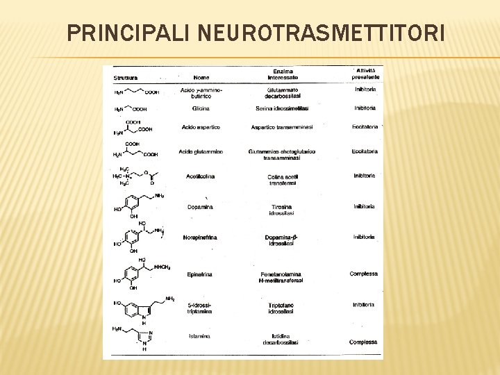 PRINCIPALI NEUROTRASMETTITORI 