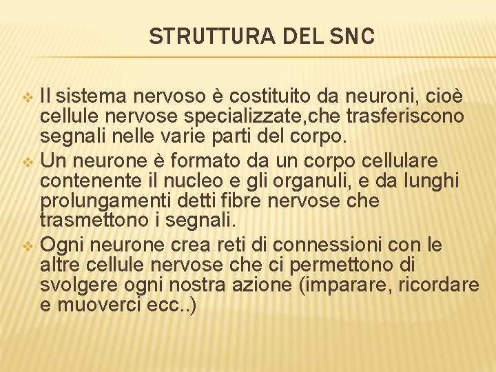 STRUTTURA DEL SNC Il sistema nervoso è costituito da neuroni, cioè cellule nervose specializzate,