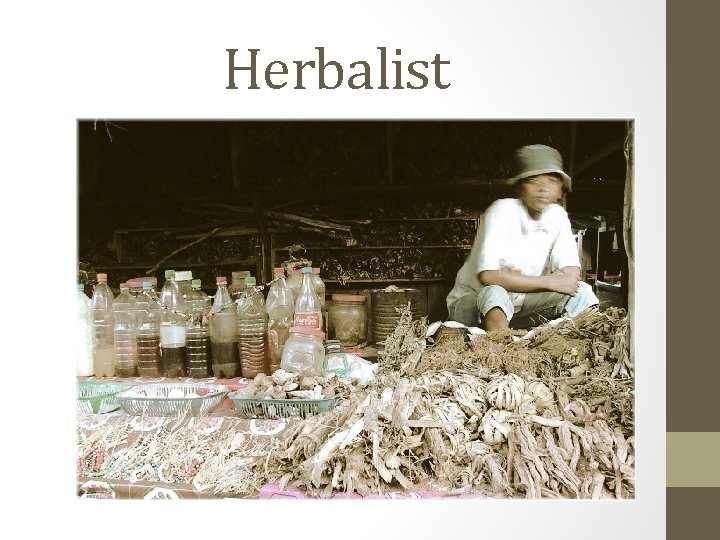 Herbalist Herbalist