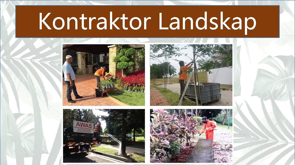 Kontraktor Landskap 