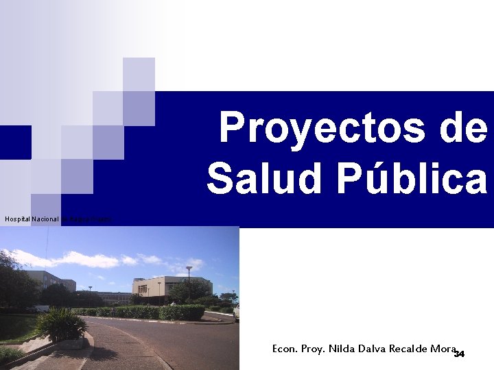 Proyectos de Salud Pública Hospital Nacional de Itagua Guazú Econ. Proy. Nilda Dalva Recalde Proyectos de Salud Pública Hospital Nacional de Itagua Guazú Econ. Proy. Nilda Dalva Recalde