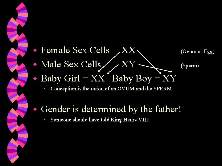 Female Sex Cells XX w Male Sex Cells XY w Baby Girl = XX