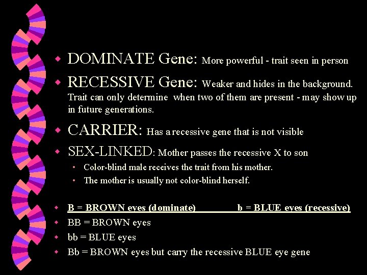 DOMINATE Gene: More powerful - trait seen in person w RECESSIVE Gene: Weaker and