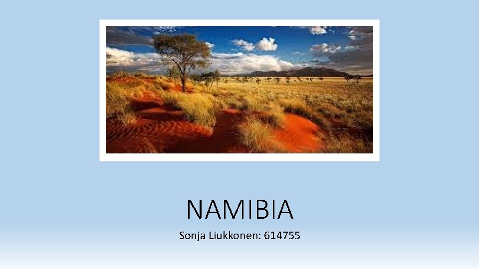 NAMIBIA Sonja Liukkonen: 614755 