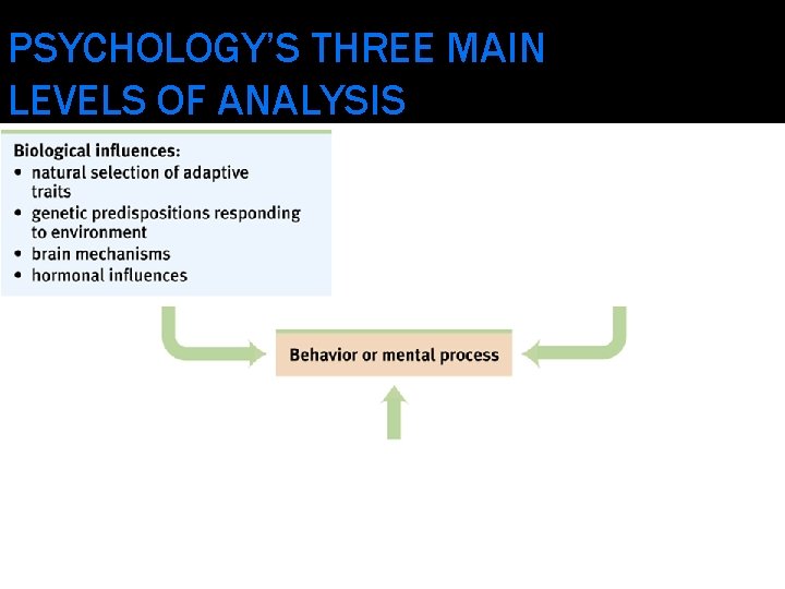 PSYCHOLOGY’S THREE MAIN LEVELS OF ANALYSIS 