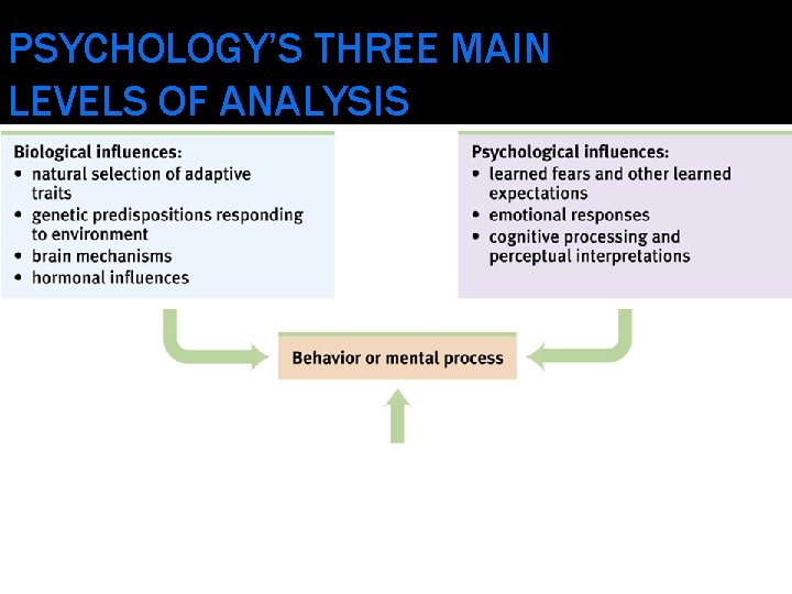 PSYCHOLOGY’S THREE MAIN LEVELS OF ANALYSIS 