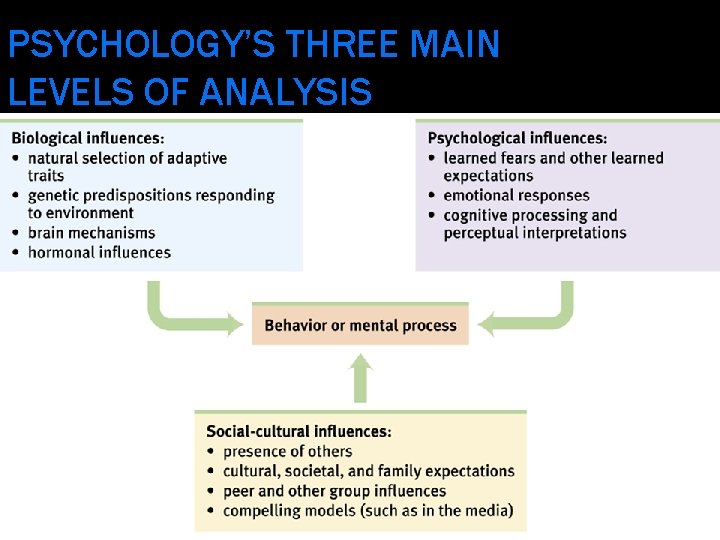 PSYCHOLOGY’S THREE MAIN LEVELS OF ANALYSIS 