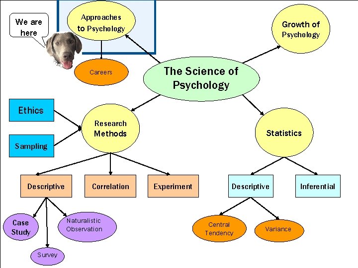 We are here Approaches to Psychology Careers Growth of Psychology The Science of Psychology