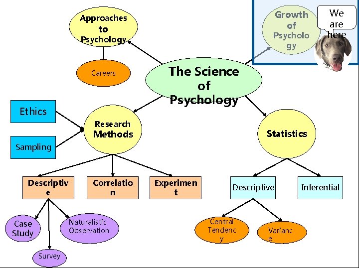 Growth of Approaches to Psycholo gy Psychology Careers Ethics We are here The Science