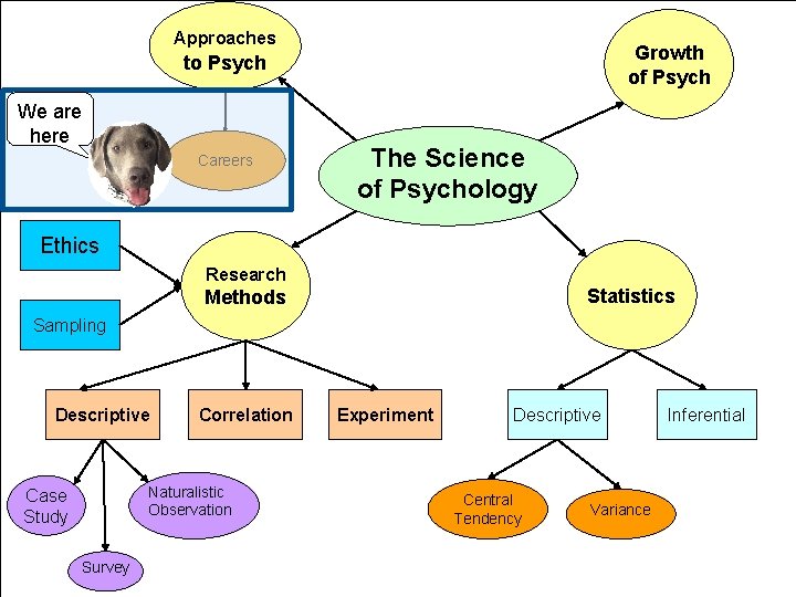 Approaches Growth of Psych to Psych We are here Careers The Science of Psychology