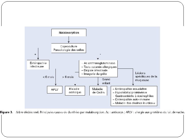 Diarrhees Chroniques De Lenfant Module De Pdiatrie Anne