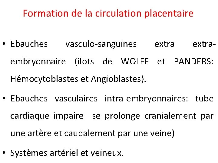 Formation de la circulation placentaire • Ebauches vasculo-sanguines extra- embryonnaire (ilots de WOLFF et