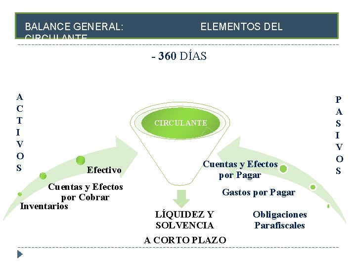 BALANCE GENERAL: CIRCULANTE ELEMENTOS DEL - 360 DÍAS A C T I V O