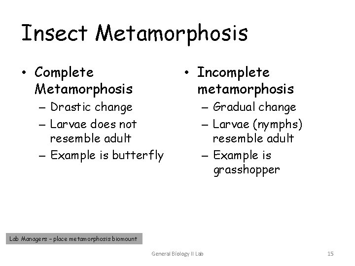 Insect Metamorphosis • Complete Metamorphosis • Incomplete metamorphosis – Drastic change – Larvae does Insect Metamorphosis • Complete Metamorphosis • Incomplete metamorphosis – Drastic change – Larvae does