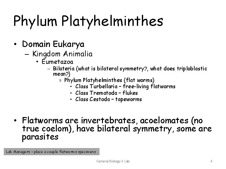 Phylum Platyhelminthes • Domain Eukarya – Kingdom Animalia • Eumetazoa – Bilateria (what is Phylum Platyhelminthes • Domain Eukarya – Kingdom Animalia • Eumetazoa – Bilateria (what is