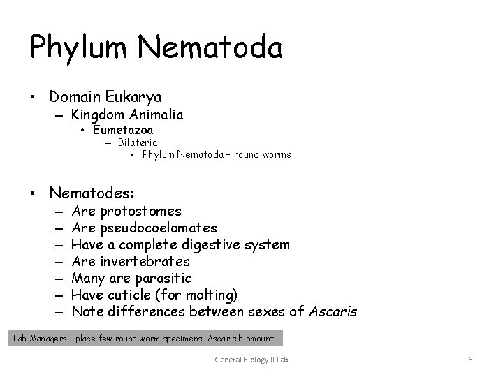 Phylum Nematoda • Domain Eukarya – Kingdom Animalia • Eumetazoa – Bilateria • Phylum Phylum Nematoda • Domain Eukarya – Kingdom Animalia • Eumetazoa – Bilateria • Phylum