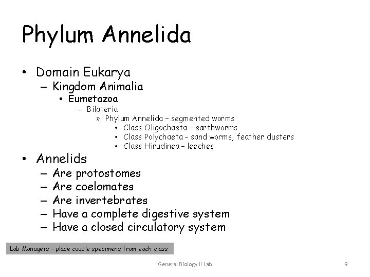 Phylum Annelida • Domain Eukarya – Kingdom Animalia • Eumetazoa – Bilateria » Phylum Phylum Annelida • Domain Eukarya – Kingdom Animalia • Eumetazoa – Bilateria » Phylum
