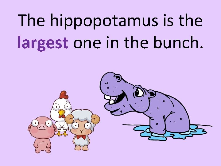 The hippopotamus is the largest one in the bunch. 