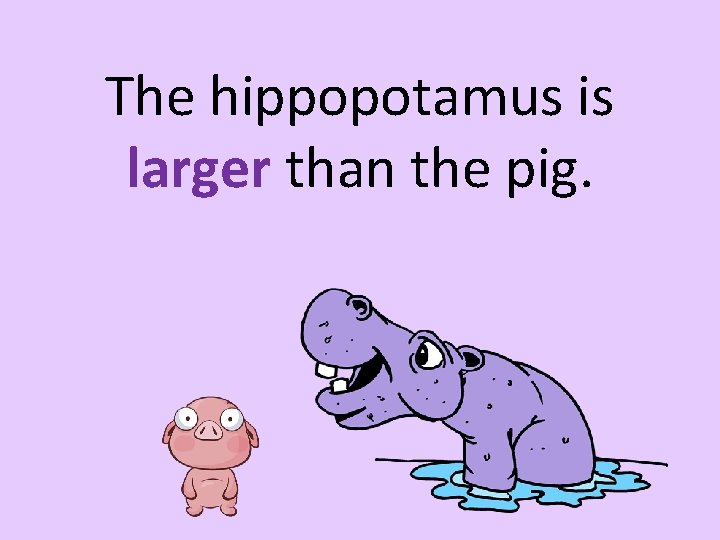 The hippopotamus is larger than the pig. 