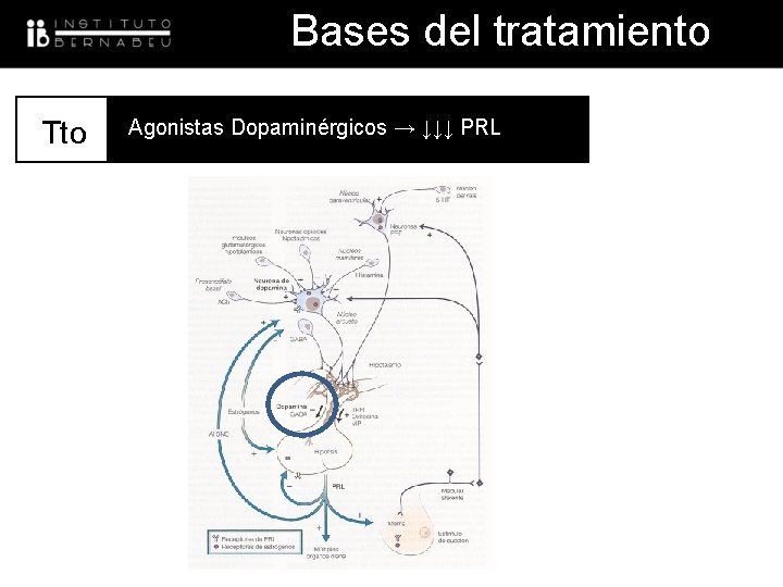 Bases del tratamiento Tto UNIDAD BAJA Agonistas Dopaminérgicos → ↓↓↓ PRL RESPONDEDORA 