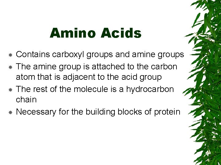 Amino Acids Contains carboxyl groups and amine groups The amine group is attached to Amino Acids Contains carboxyl groups and amine groups The amine group is attached to