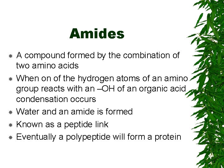 Amides A compound formed by the combination of two amino acids When on of Amides A compound formed by the combination of two amino acids When on of