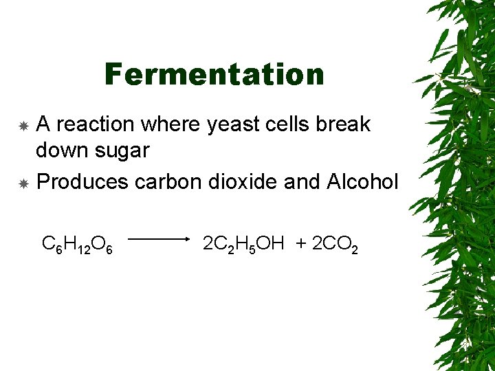 Fermentation A reaction where yeast cells break down sugar Produces carbon dioxide and Alcohol Fermentation A reaction where yeast cells break down sugar Produces carbon dioxide and Alcohol