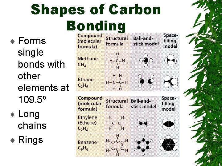 Shapes of Carbon Bonding Forms single bonds with other elements at 109. 5º Long Shapes of Carbon Bonding Forms single bonds with other elements at 109. 5º Long